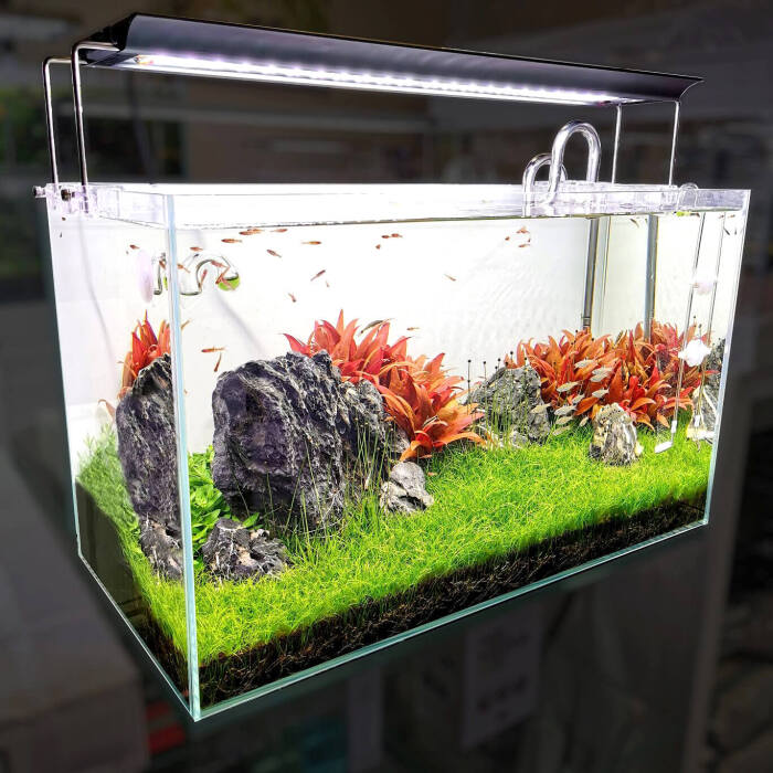 ADA Aqua Screen Foggy GodhemsZoo