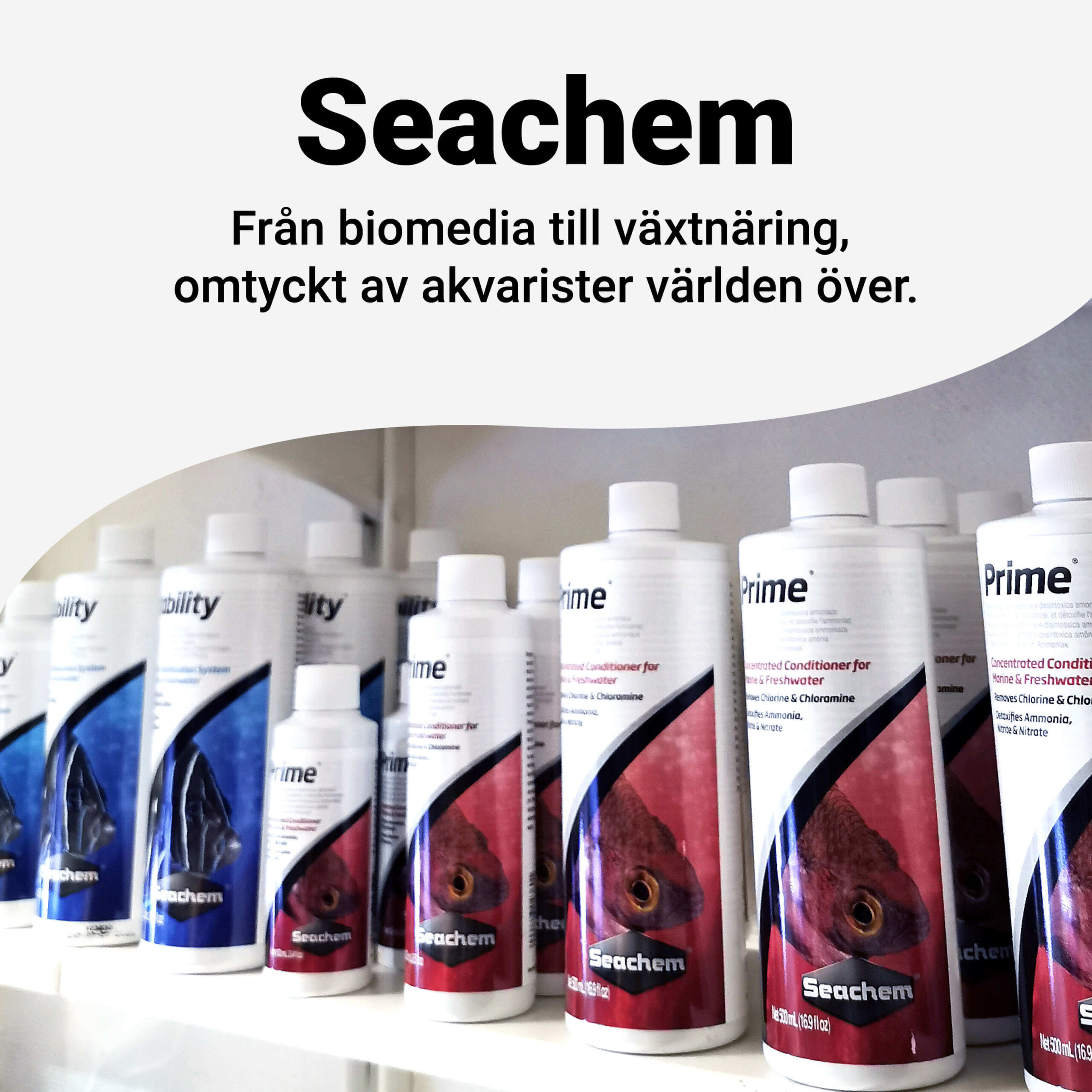seachem-banner-mobil