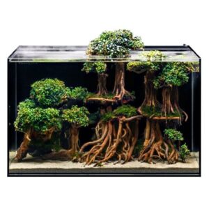 UNS Dual All-In-One Set 60A