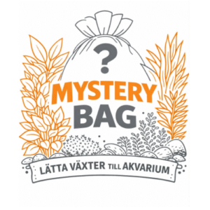 Mystery Bag Easy