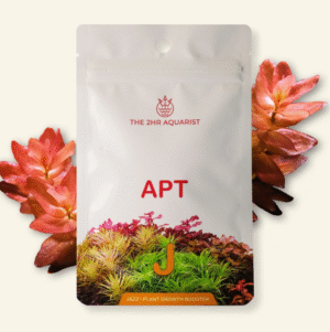 2Hr Aquarist APT Jazz